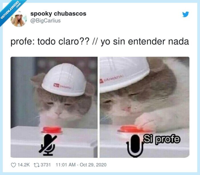 resignación,clases,online,profe,entender