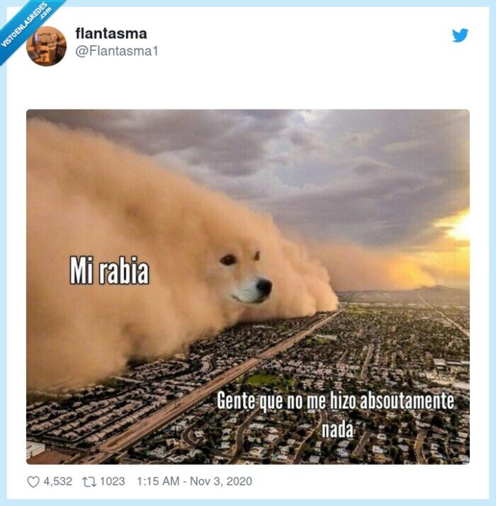 rabia,gente,culpa,carácter,inocentes