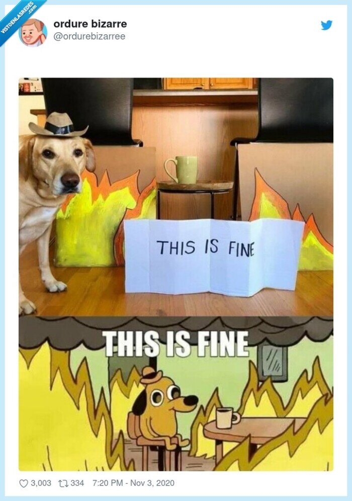 meme,real,perro,fuego,llamas,fine