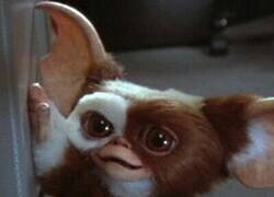 Enlace a Encargó una tarta para su hijo del adorable Gizmo (Gremlins) y el resultado final fue tan desastroso que se hizo viral a nivel mundial, por @fendibodybags