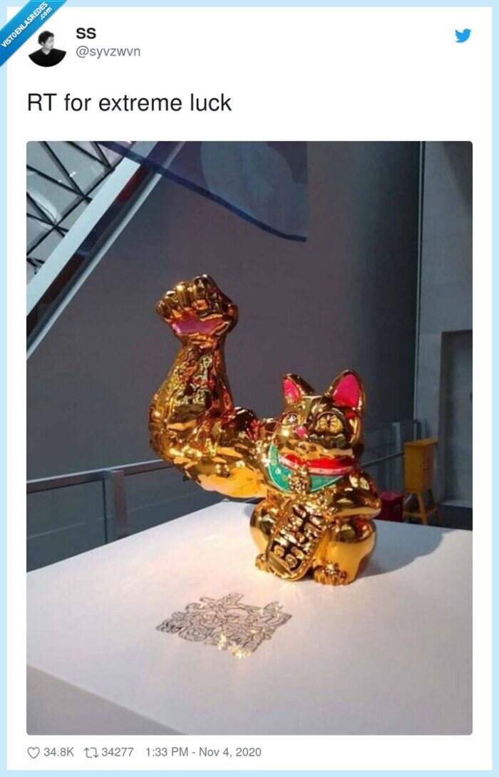 gato,chino,brazo,oficina