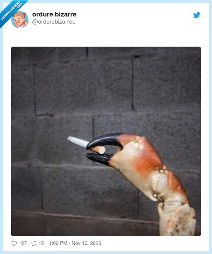 relax,cigarro,dura,jornada,mar