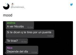 Enlace a Todos podemos ser Nicolás, por @luciialonsoo_