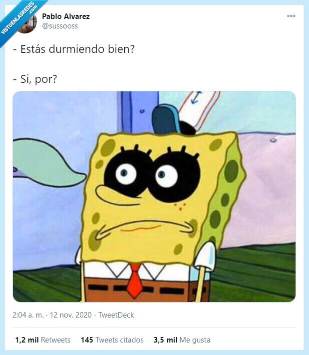 dormir,sueño,mapache,ojeras,madrugar,bobesponja