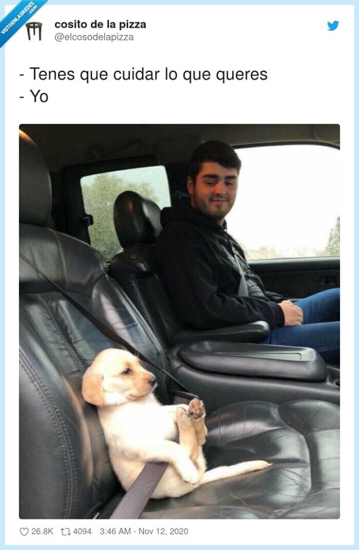 cuidar,quieres,perrito,coche,cinturón,mejoramigo,seguiridadvial