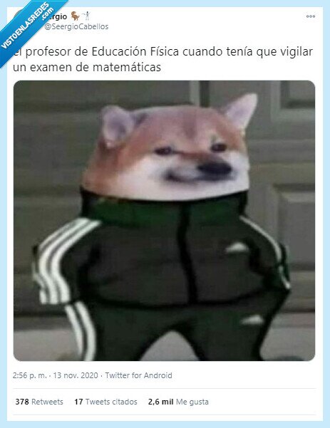 profesor,matemáticas,educación,física,vigilar,examen