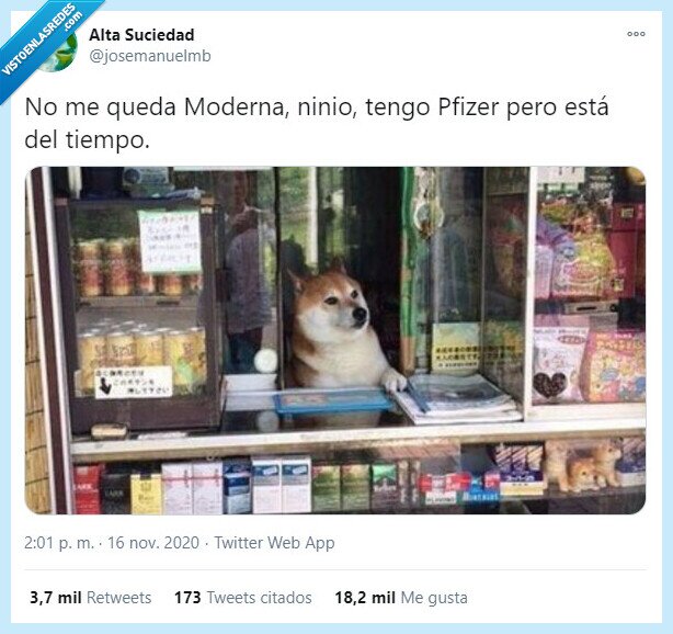 pfizer,moderna,vacuna