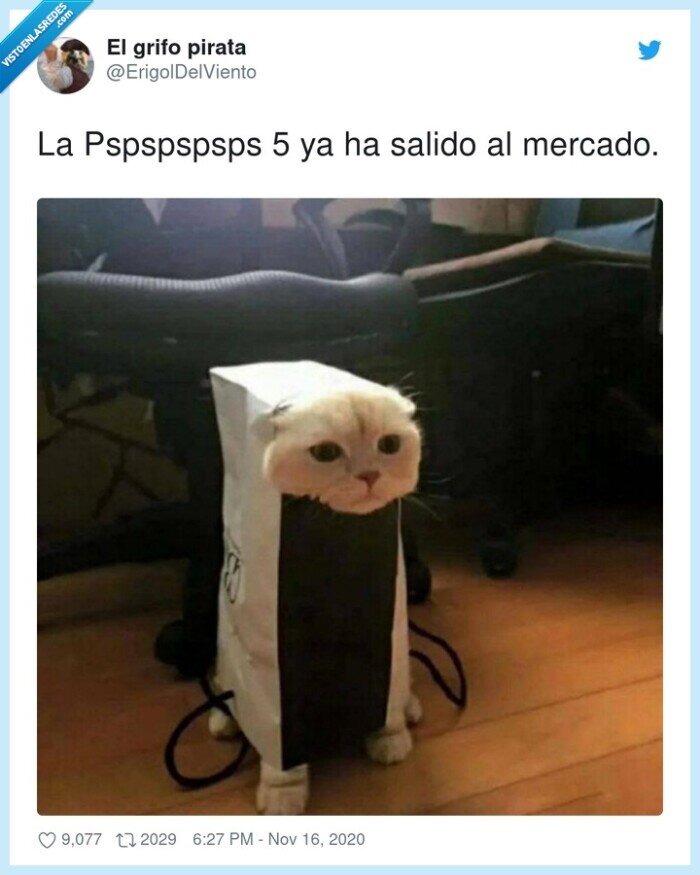 pspspspsps,mercado,salido,ps5,gato,sony