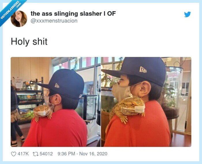 seguridad,mascarilla,iguana