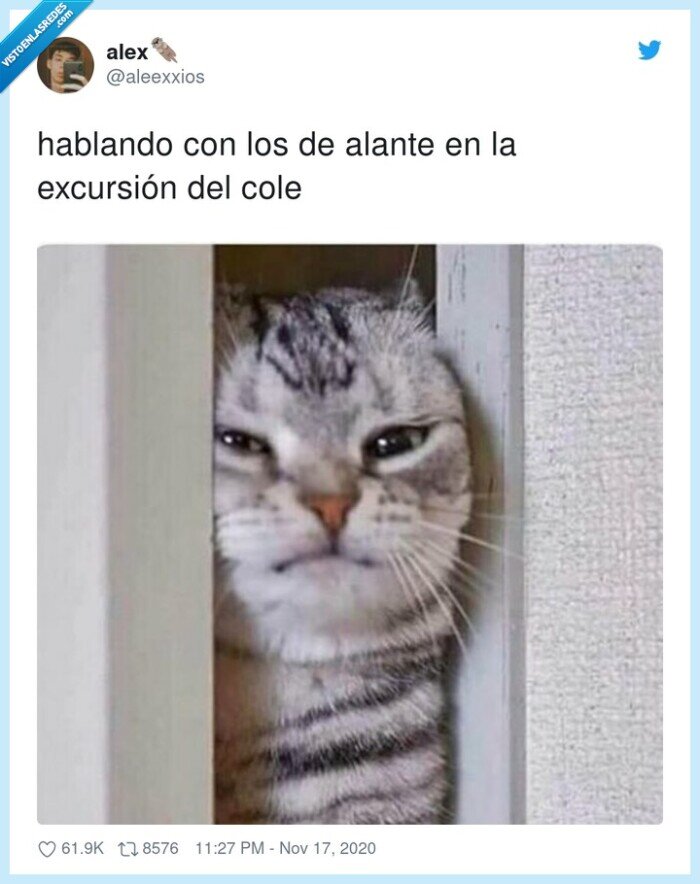 excursión,hablando,cole,autobús,cara