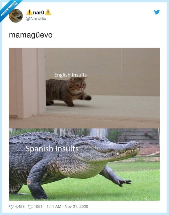 insultos,inglés,español,castellano