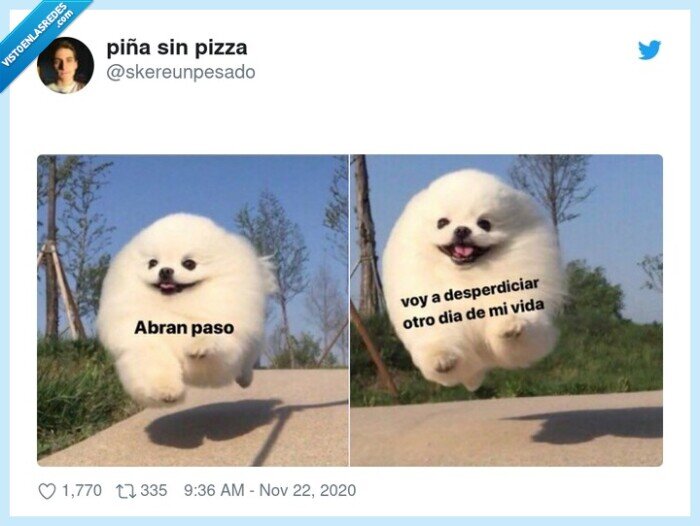 desperdiciar,día,desaprovechar,lunes