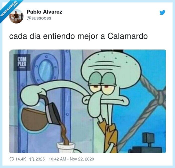 calamardo,entiendo,mejor,cada,dia