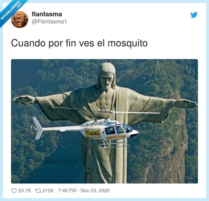 mosquito,matar,palmada