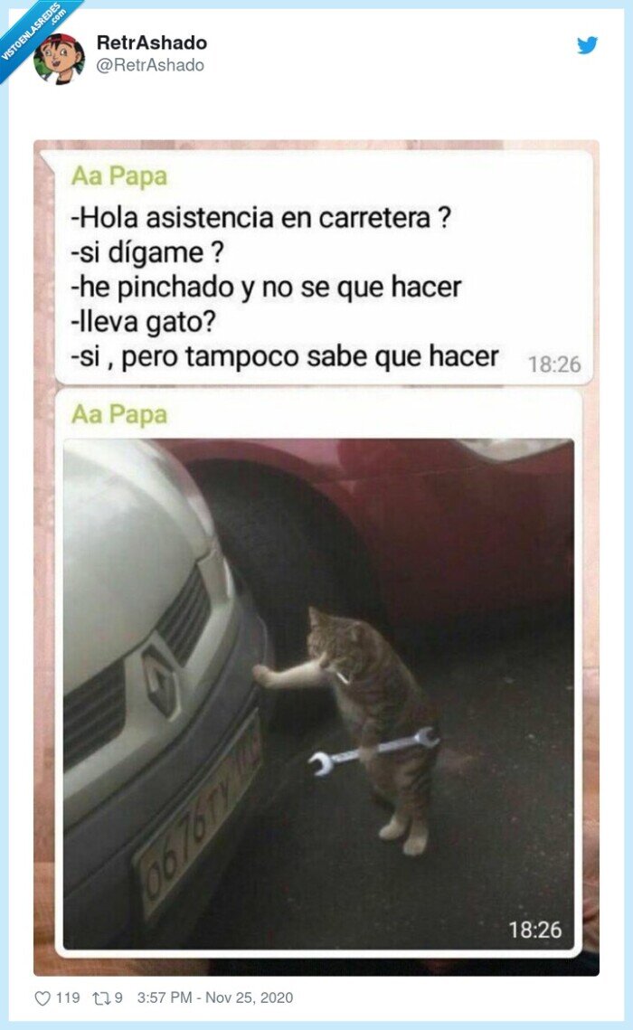 gato,reparación,coche,arreglar,pinchazo