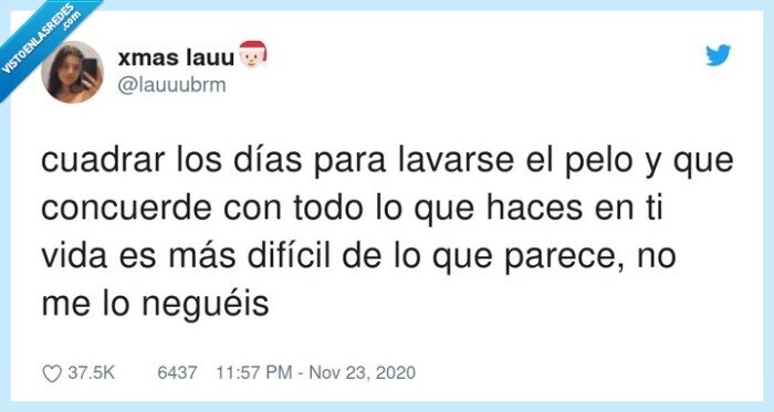 lavar,pelo,encajar,día,puzzle