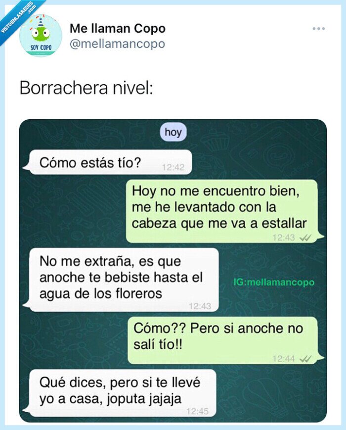 Colegas,amigos,fiesta,conversaciones,whatsapp