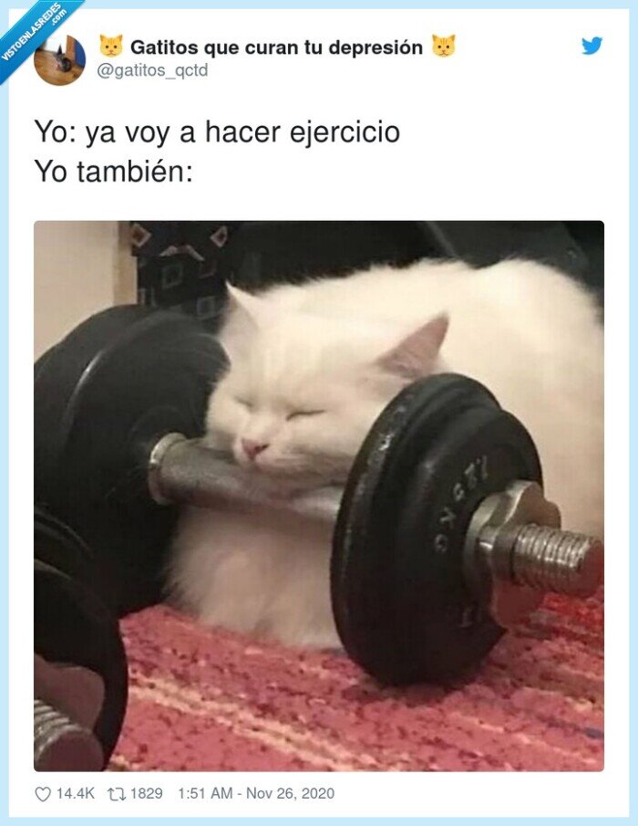 ejercicio,gym,viernes,palo