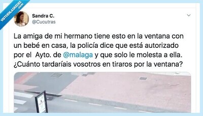 756129 - Así es imposible vivir: el horror que tiene que soportar esta vecina de Málaga desde que han puesto las decoraciones navideñas, por @Cucutras