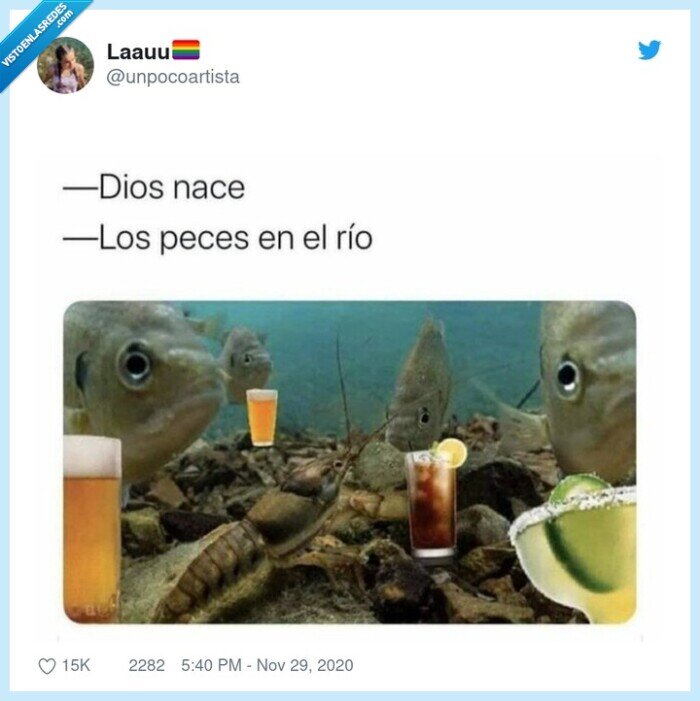 peces,río,beben