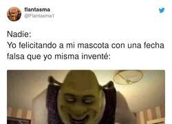 Enlace a Jajajaja imposible no sentirse identificado con esto si tienes mascotas, por @Flantasma1