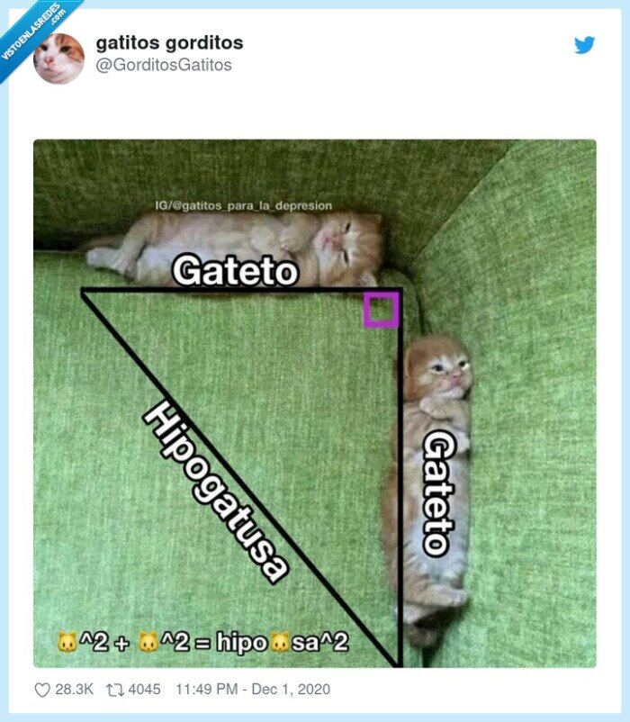 teorema,pitágoras,cateto,hipotenusa,gatos