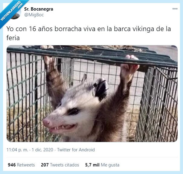 feria,atracción,borrachera