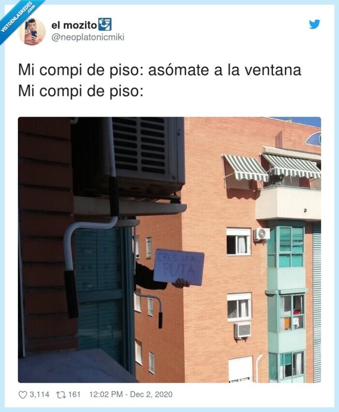 asomar,ventana,compañeros,piso