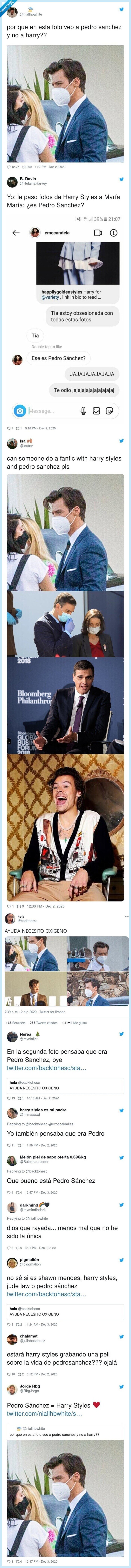 harry,styles,pedro,sánhez,parecido