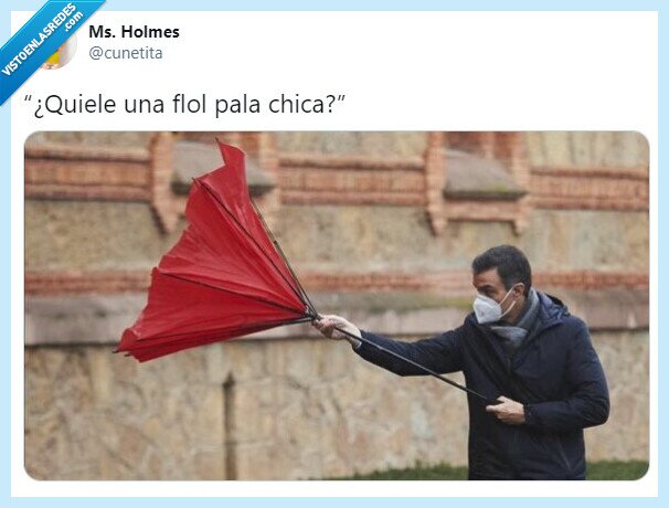 Pedro Sánchez,política,paraguas,twitter,flor