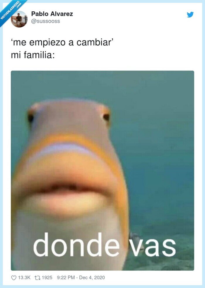 cambiar,ropa,familia,dondevas