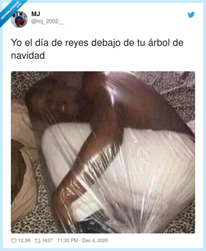 navidad,debajo,árbol,reyes,día