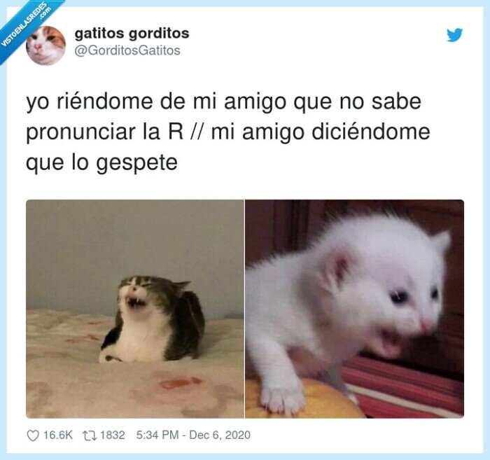 amigo,pronunciar,erre,respeto