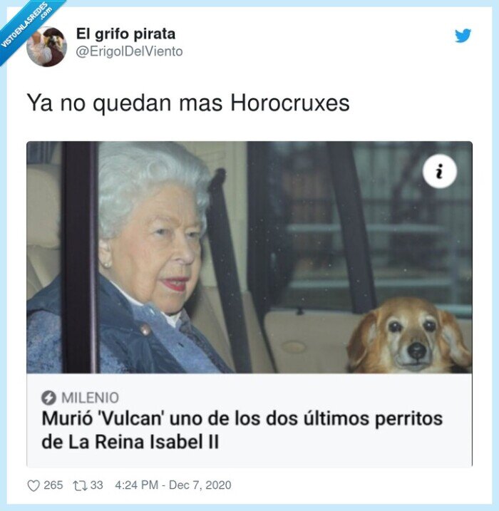 reina,isabel,perros