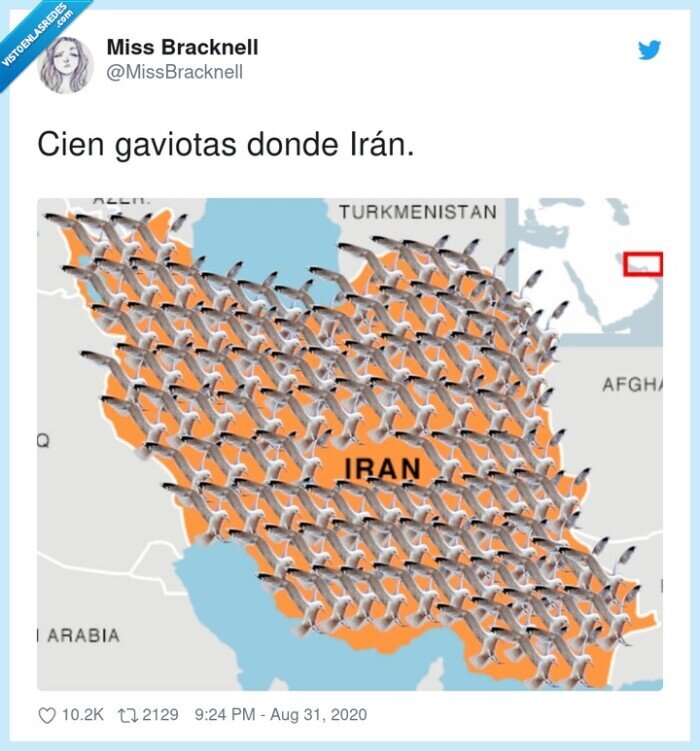 cien,gaviotas,irán