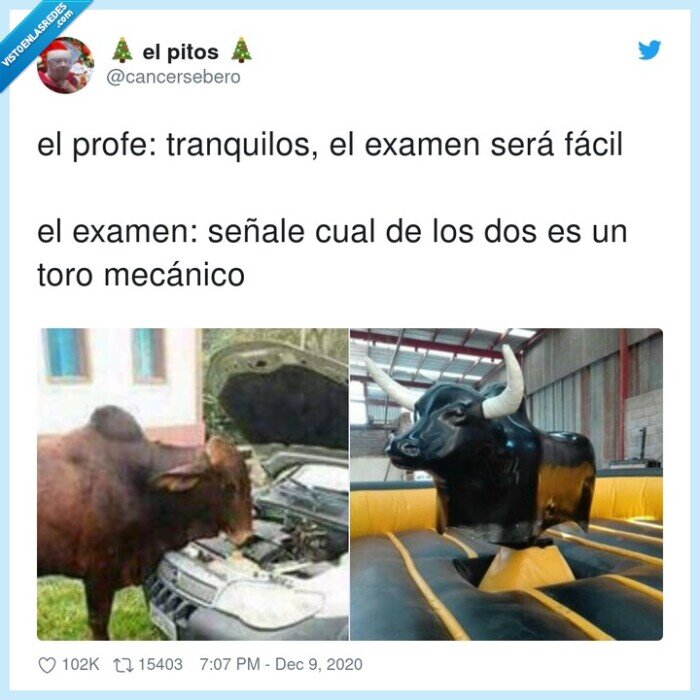 examen,fácil,toro,mecánico