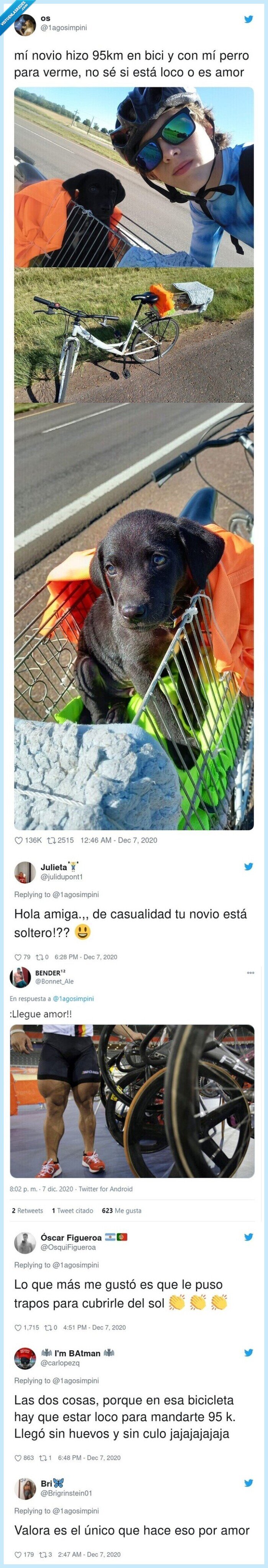 bici,perro,kilómetros,novio