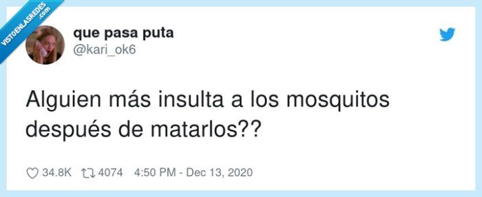 mosquitos,matarlos,insultar