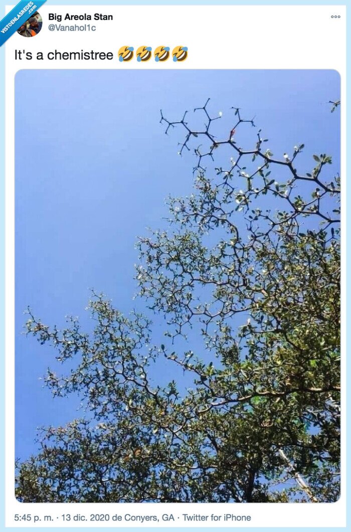 tree,árbol,química,chemistree,inglés
