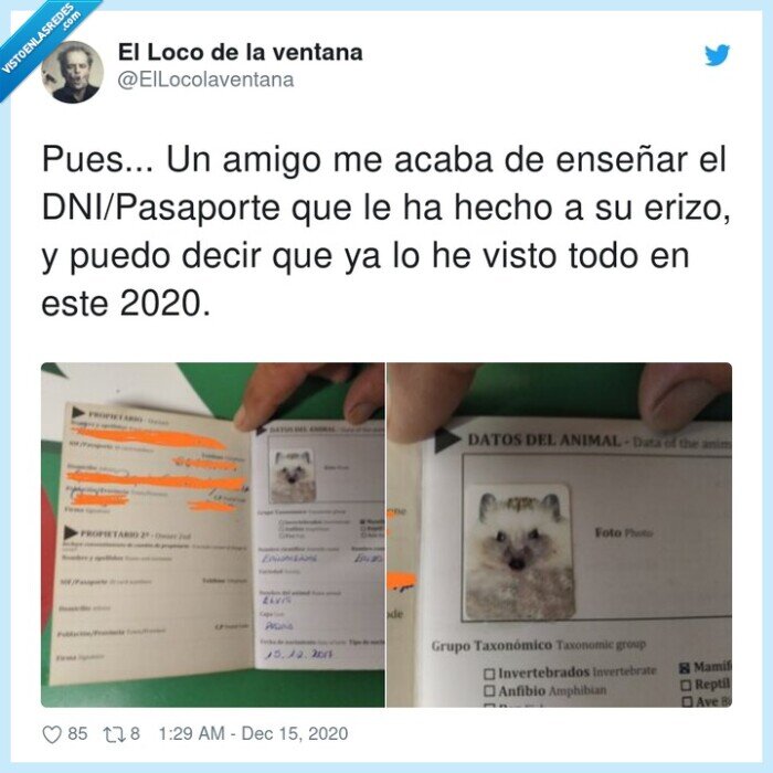 dni/pasaporte,enseñar,erizo,amigo
