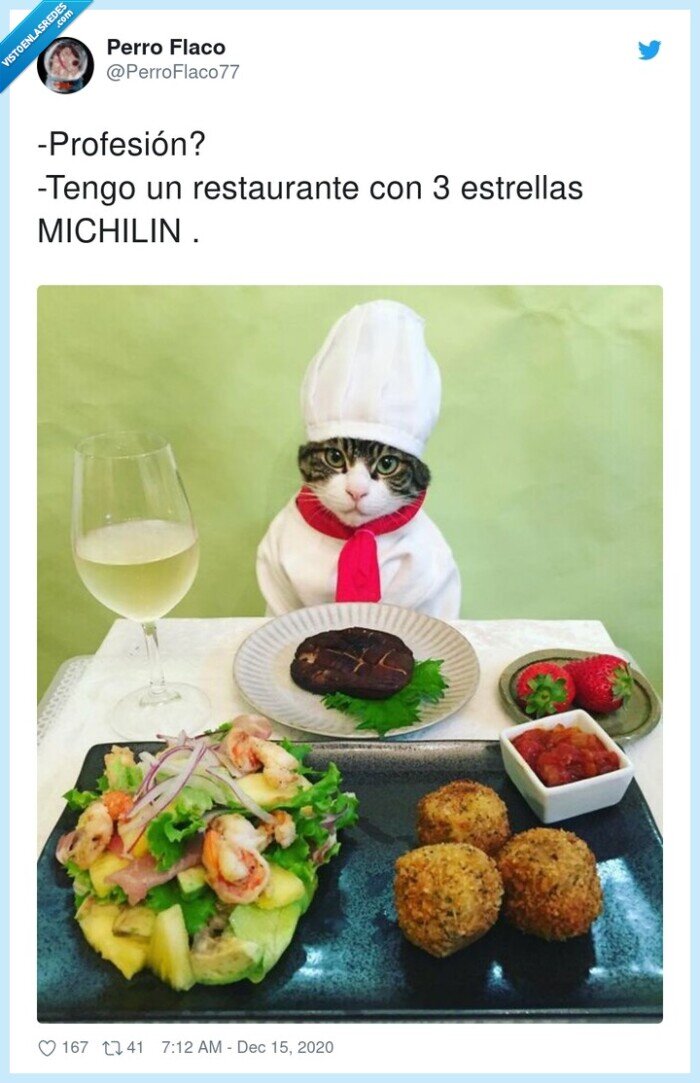 restaurante,profesión,estrellas,michilin,gato,michelin