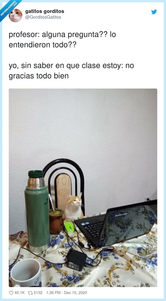 entender,profesor,preguntas,clase online