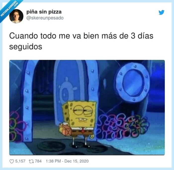 todo va bien,desconfiar,bob esponja
