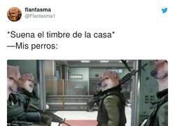 Enlace a Snipers preparados, por @Flantasma1