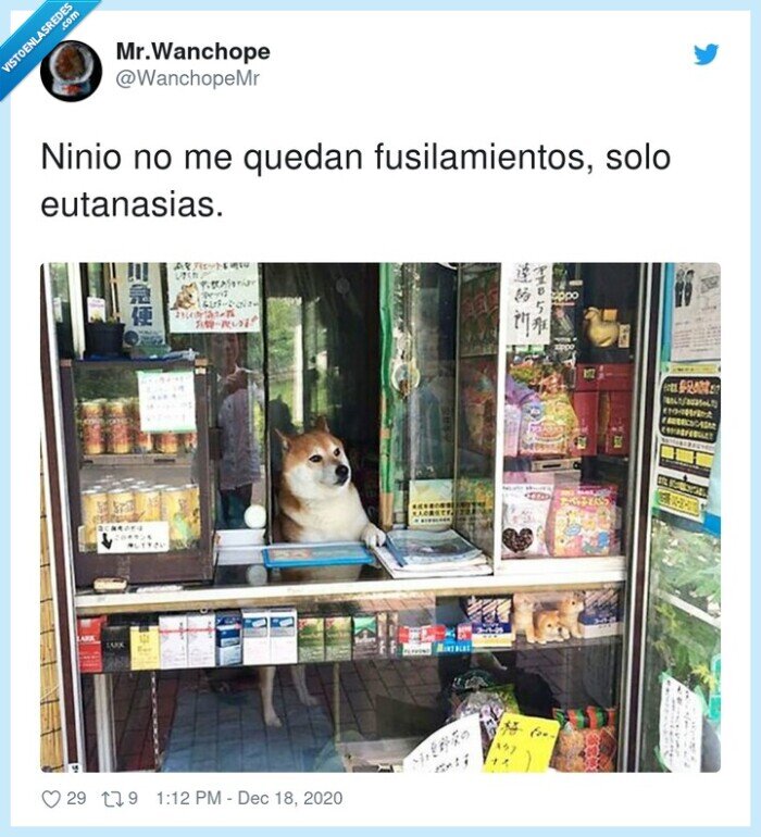 fusilamientos,eutanasias,quedan,ninio,solo