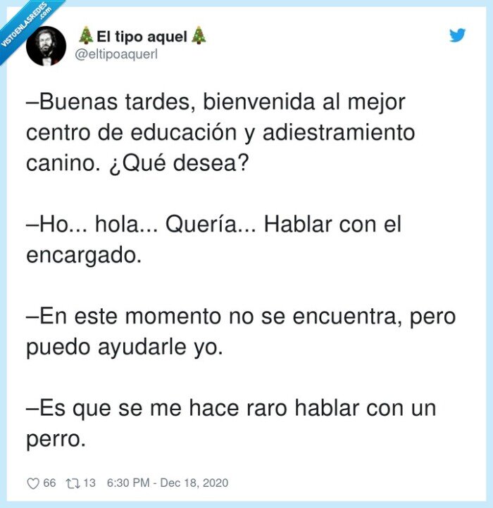 adiestramiento,bienvenida,educación,perro,encargado