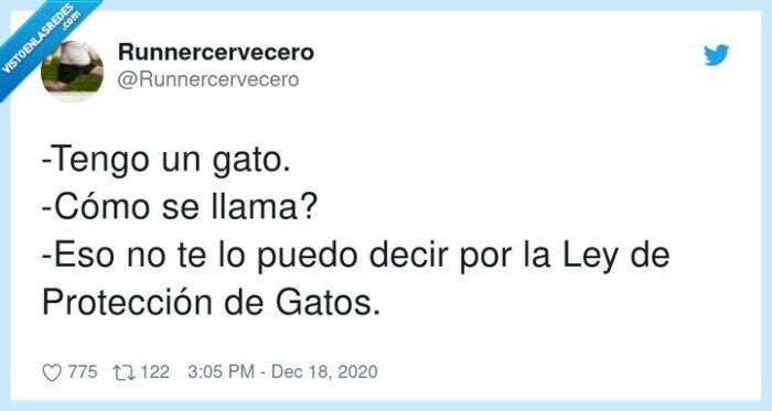 protección,lopd,ley de protección de datos,gatos