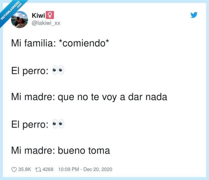 comiendo,familia,perro,madre,pedir