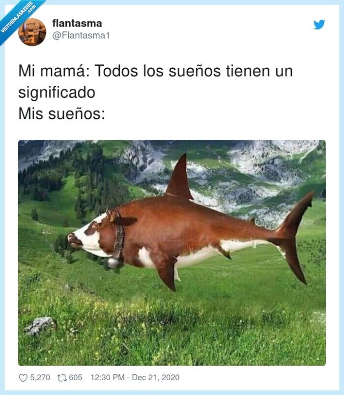 sueños,significado,vaca,tiburón