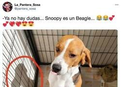 Enlace a Misterio resuelto, por @pantera_sosa